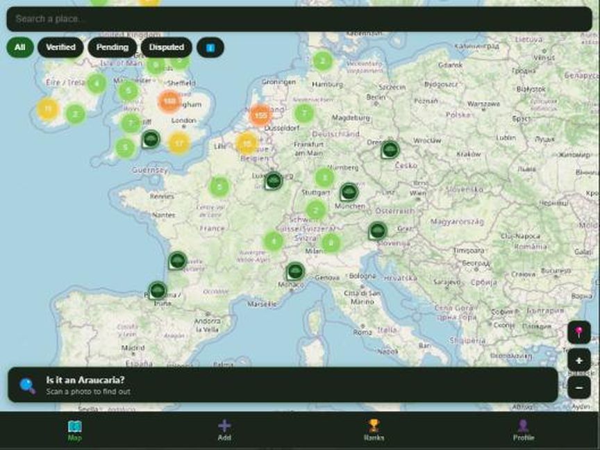 Screenshot of the Araucaria Spotter app showing a map with recorded trees